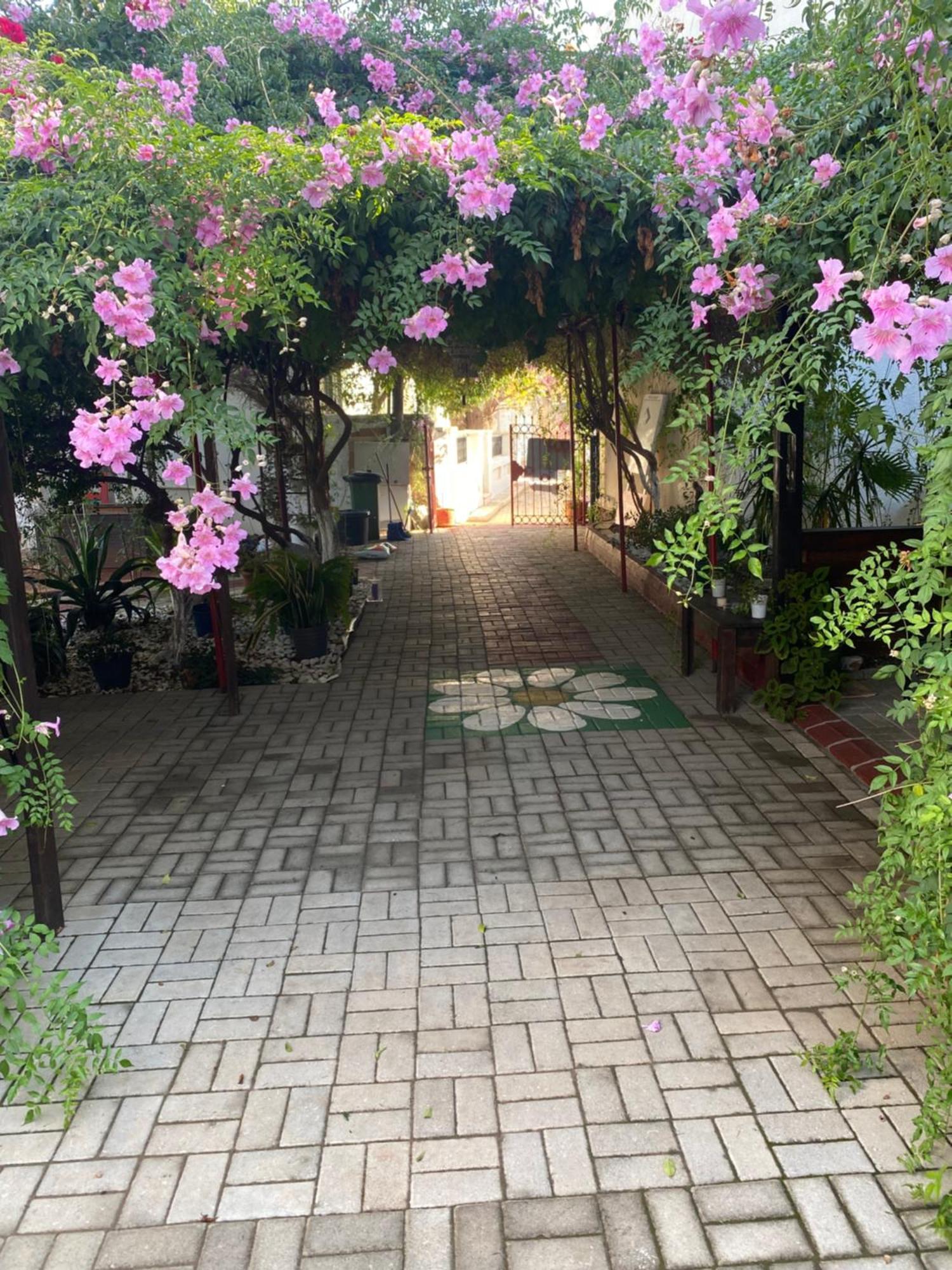 Betul Guest House Famagusta  Exterior photo